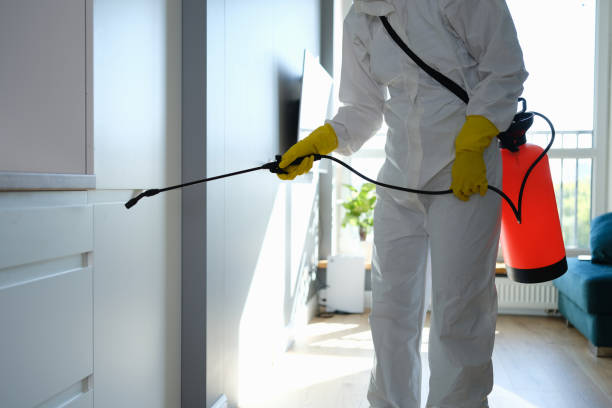 Best Crawl Space Mold Removal  in Crimora, VA