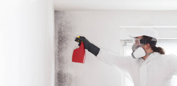 Best Residential Mold Removal  in Crimora, VA