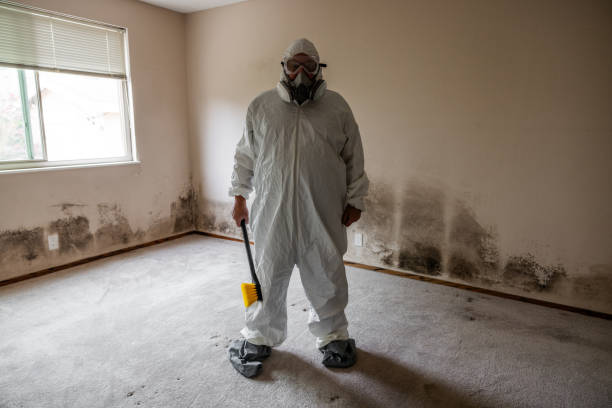 Best Commercial Mold Removal  in Crimora, VA